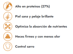 Caracteristicas