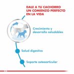 Royal Canin Puppy Maxi 12kg - Imagen 3