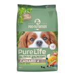 Pure Life Mini Adulto