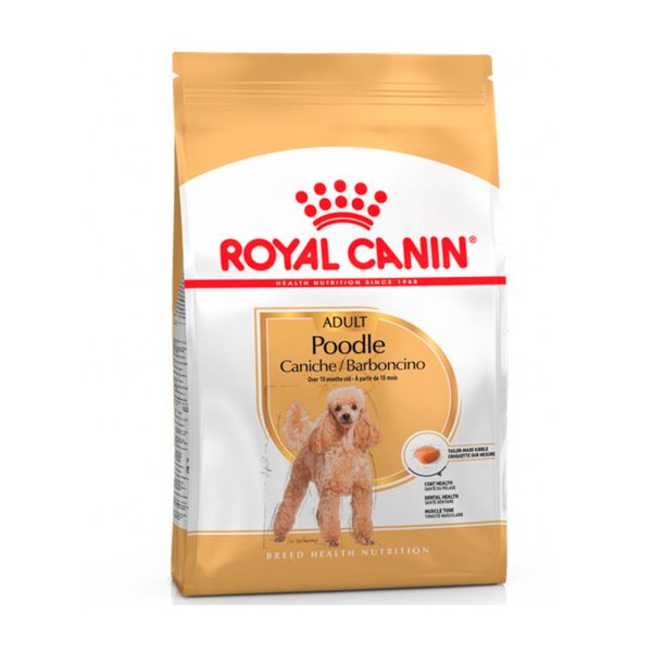 Poodle Caniche Adulto Royal Canin