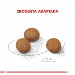 Royal Canin Puppy Maxi 12kg - Imagen 4
