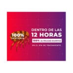 Bravecto Antiparasitario Externo Para Perros de 20 a 40kg - Imagen 4
