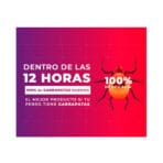 Bravecto Antiparasitario Externo Para Perros de 20 a 40kg - Imagen 3