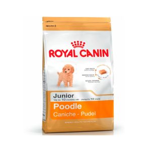 Royal Canin Poodle Caniche Junior