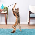 Kong Swizzle Bird Juguete Gatos - Imagen 2
