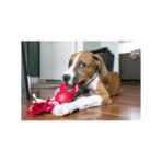 Kong Ball With Rope