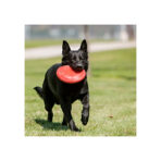 Kong Flyer S Para Perros
