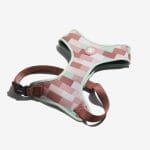 arnes,zeedog,mesh,laguna