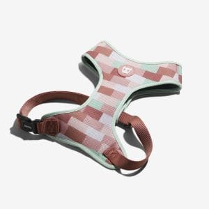 arnes,zeedog,mesh,laguna