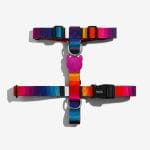 prisma,zee.dog,perro,arnes