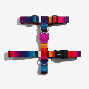 prisma,zee.dog,perro,arnes