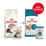 ROYAL CANIN GATO SENIOR HEALTHY AGEING 11+ 2 KG