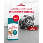 ROYAL CANIN GATO SENIOR HEALTHY AGEING 11+ 2 KG