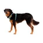 Ruffwear Front Range Arnés Perro - Imagen 7