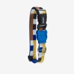 zee.dog,blocks,collar,perro