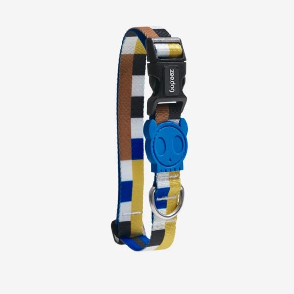 zee.dog,blocks,collar,perro