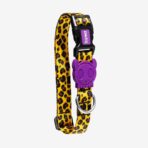 zeedog,zee.dog,collar,honey