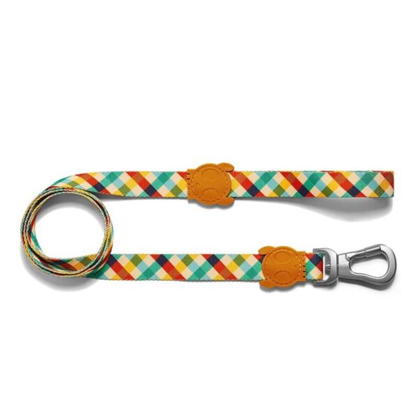 zee.dog,leash,perro,correa