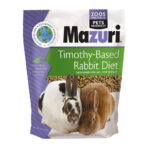 mazuri,conejo,rabbit