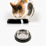 Comedero Individual Bajo Negro Catit - Imagen 2