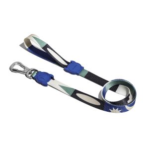 Correa Tarot Zee.dog