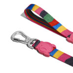 Correa Chroma Zee.Dog - Imagen 3