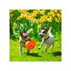Kong Jumbler Ball