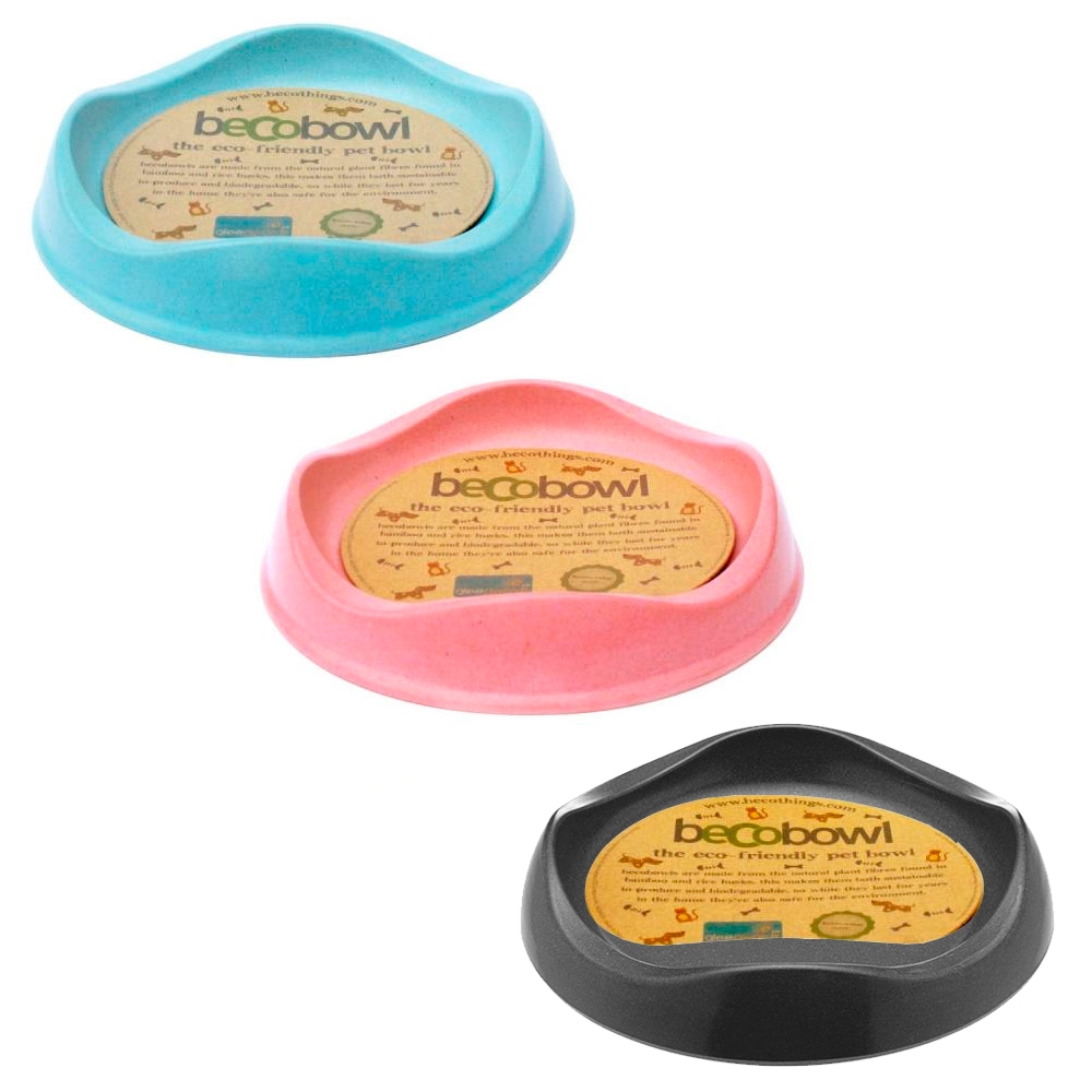 beco bowl cat