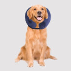 Cuello Inflable Para Mascotas Pawise - Imagen 3