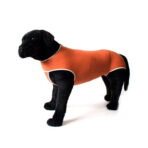 Body De Cobre Tradicional Kimba para Perros y Gatos - Imagen 3