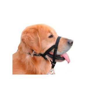 Cabestro Antipull Negro Mascan