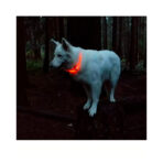 Collar De Luz Con Usb Coastal - Imagen 4