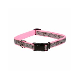 Collar Gato Coastal Lazer Brite Diamante Collar Gato Coastal Lazer Brite Diamante