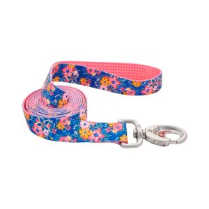 Correa Flower Coastal