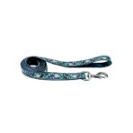 Correa Lazer Brite Galaxy Coastal