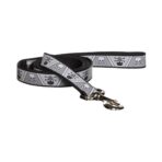 Correa Lazer Brite Skull Coastal 2