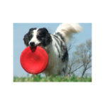 Flyer Frisbee para Perros Kong - Imagen 3
