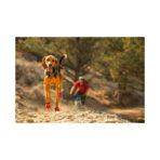 Botas Rojas Todo Terreno Grip Trex - Imagen 2