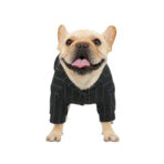 Hoodie College - Imagen 5