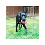 Kong Ring - Imagen 2