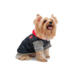 Parka Polar Impermeable Doggy Dolly Negra Con Gorro Para Perro - Imagen 2