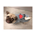 Polera I Love Daddy Parisian Pet - Imagen 3