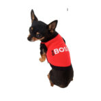Polera The Boss Parisian Pet - Imagen 2