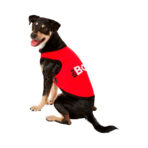 Polera The Boss Parisian Pet - Imagen 4