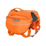 Ruffwear approach orange puppy