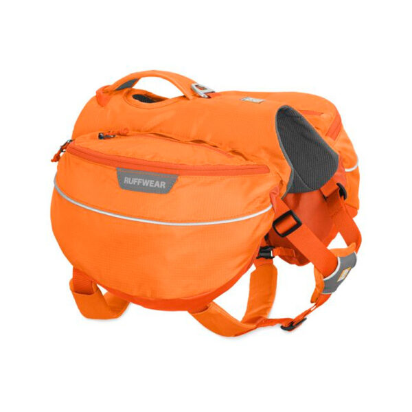 Ruffwear approach orange puppy