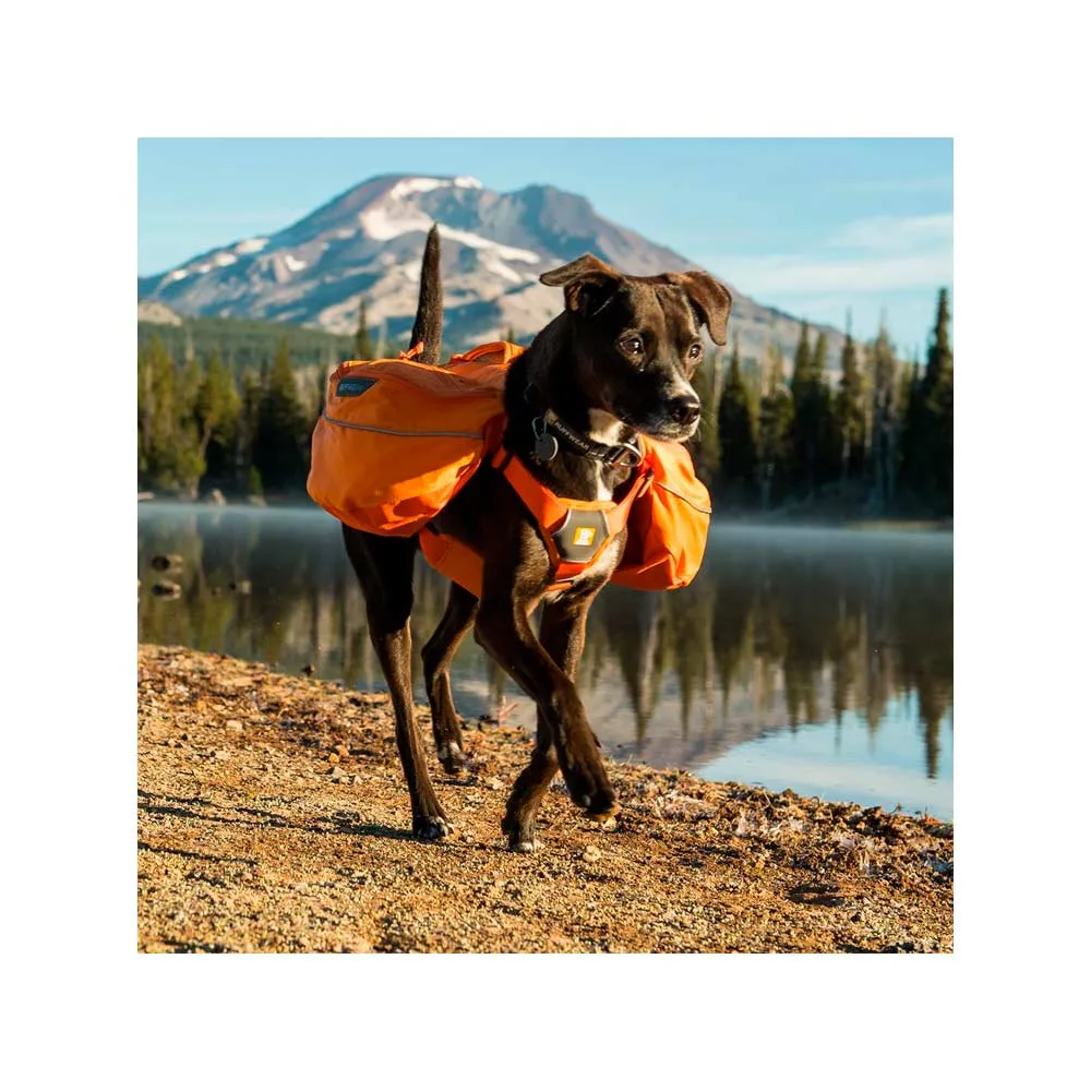 Ruffwear Approach Dog Orange Poppy - Imagen 2