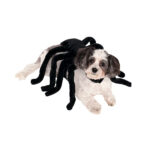 Disfraz De Araña Halloween - Imagen 2