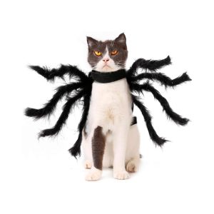 Disfraz De Arana Halloween