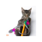 Just For Cats Twirl And Whirl Cat Toy - Imagen 3